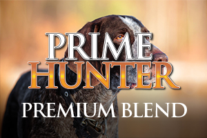 Prime Hunter