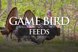 Game Bird Feeds